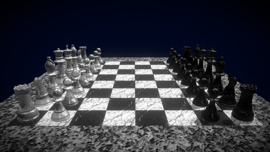 Сесиль хаусерно шахматы