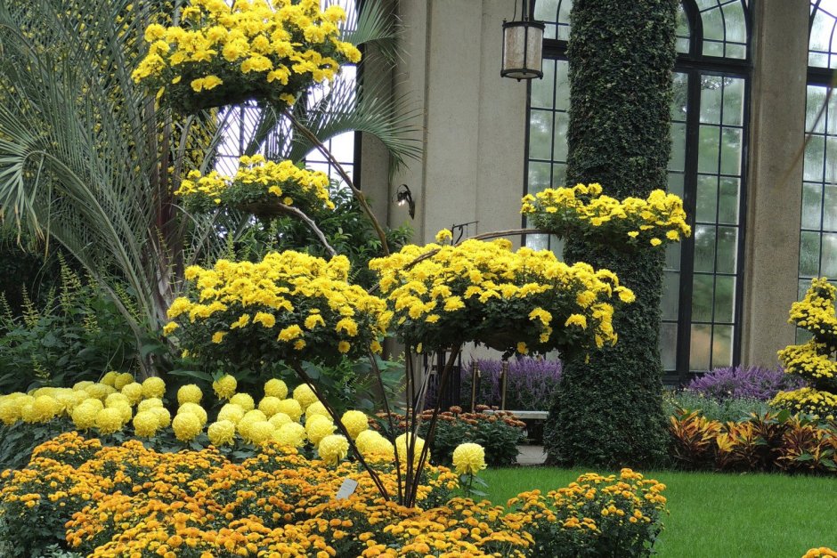 Longwood Gardens Пенсильвания