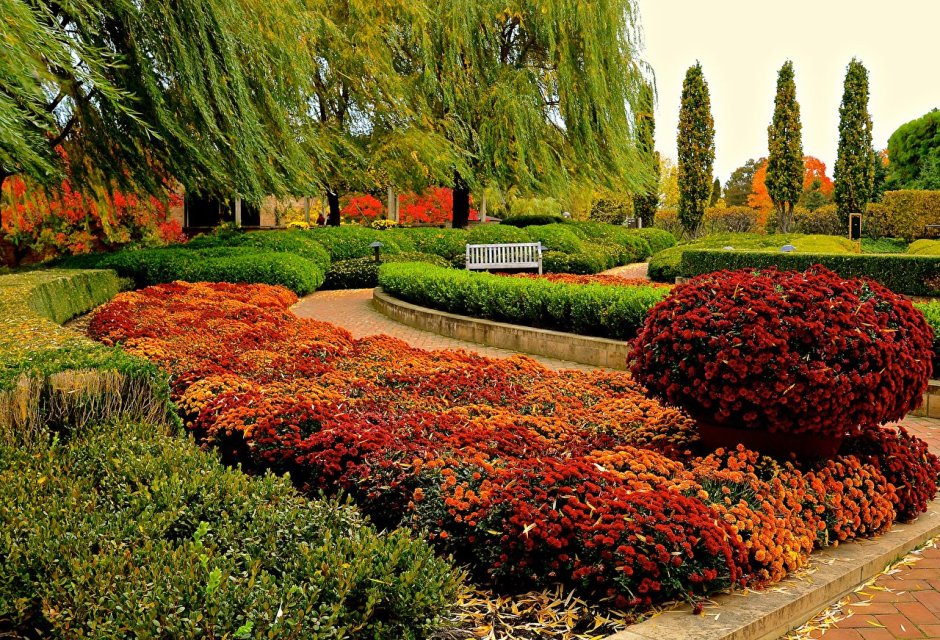 Chelsea Flower show в Великобритании