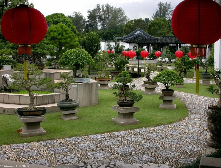 Стиль китайского сада Шига куин