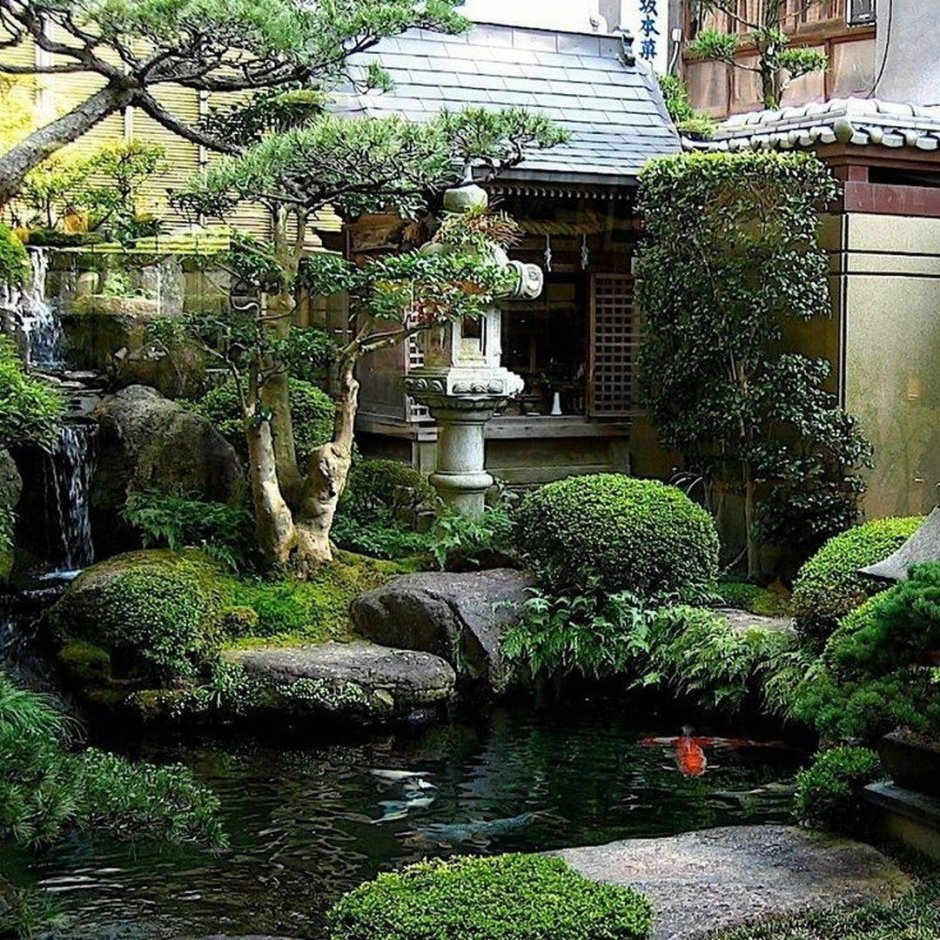 Китайский сад - ландшафт сада в китайском стиле