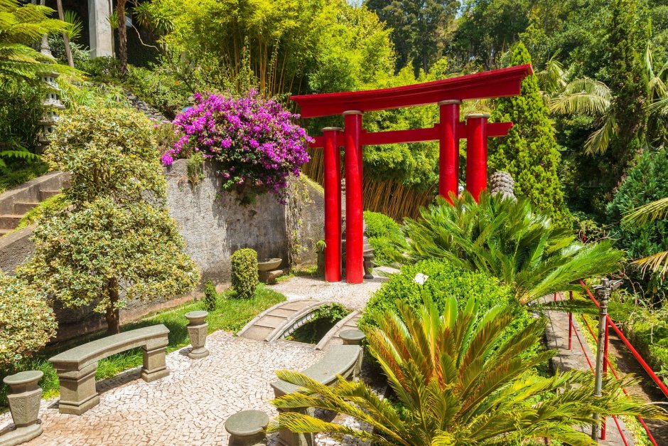 Тенерифы японский сад