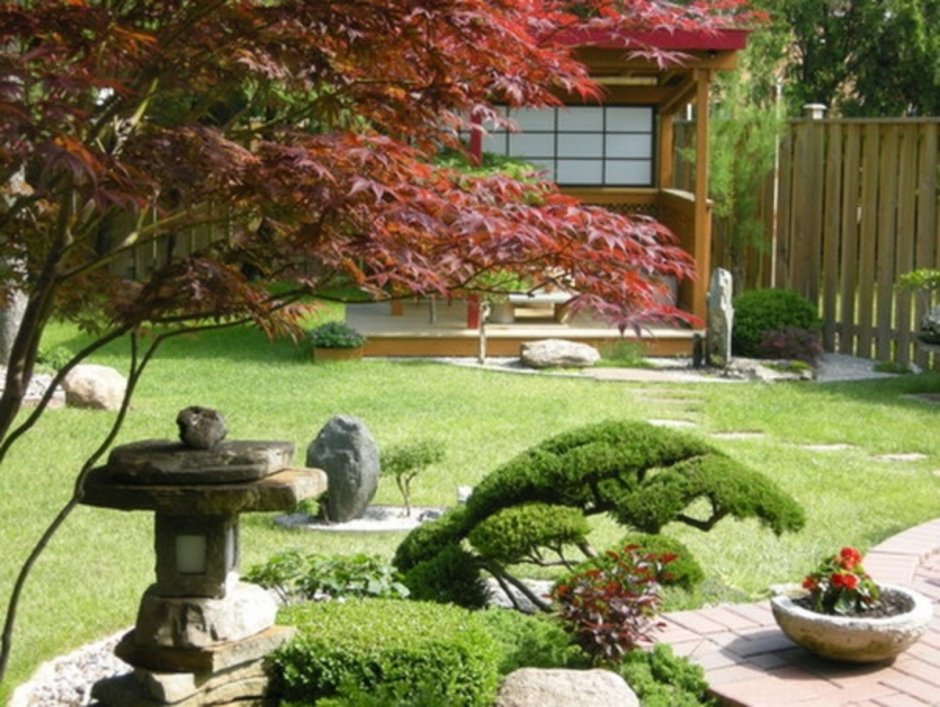 Рокарий сад бонсай Южная Корея