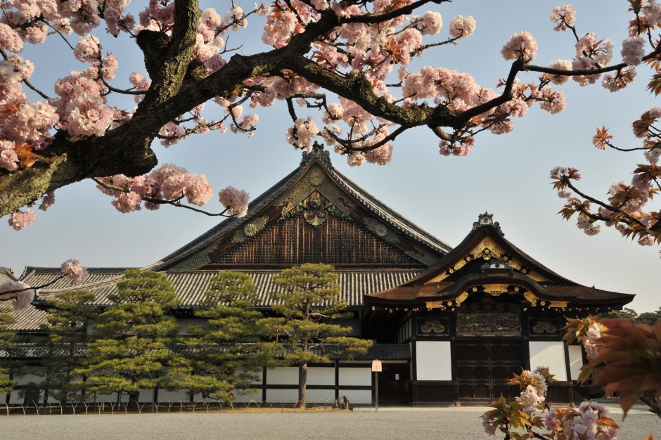 Nijo Castle Киото
