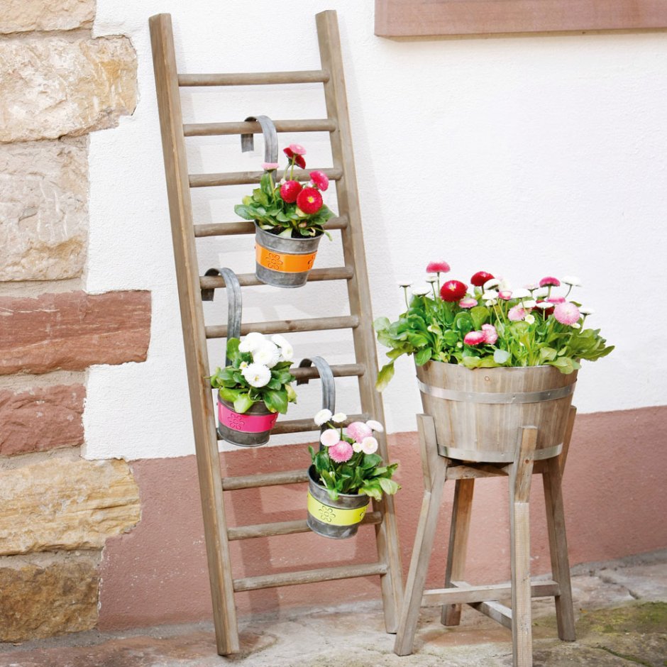 Лестница с зоной под растеняи