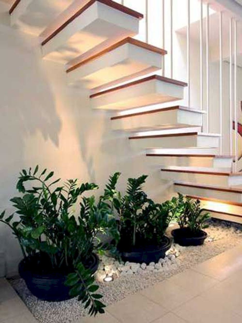 Озеленение лестницы в доме