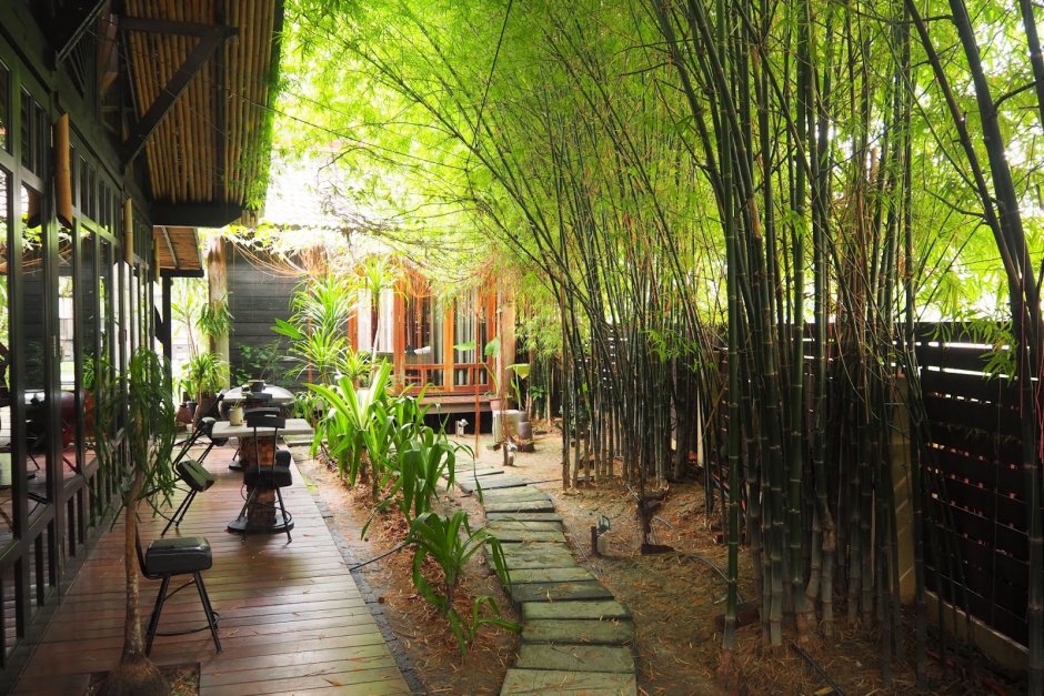 Бамбук в садах Японии