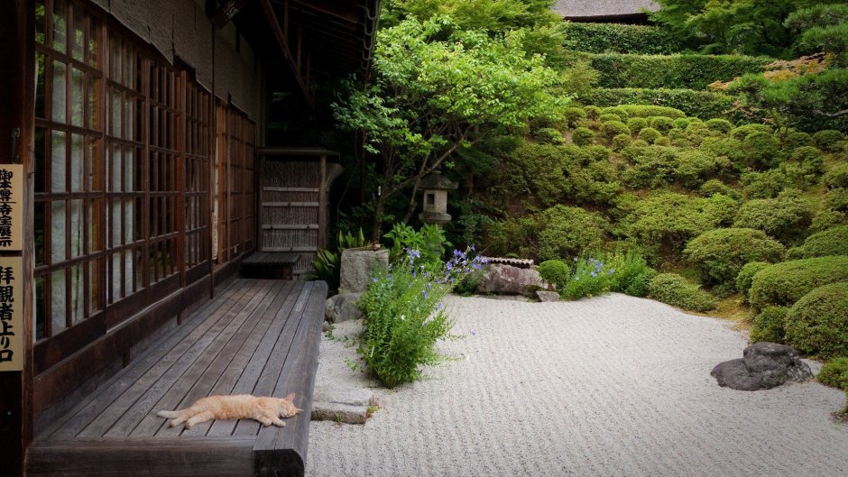 Дзэнские сады Япония