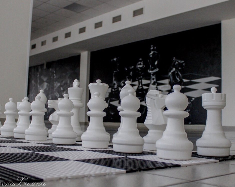 Шахматный зал