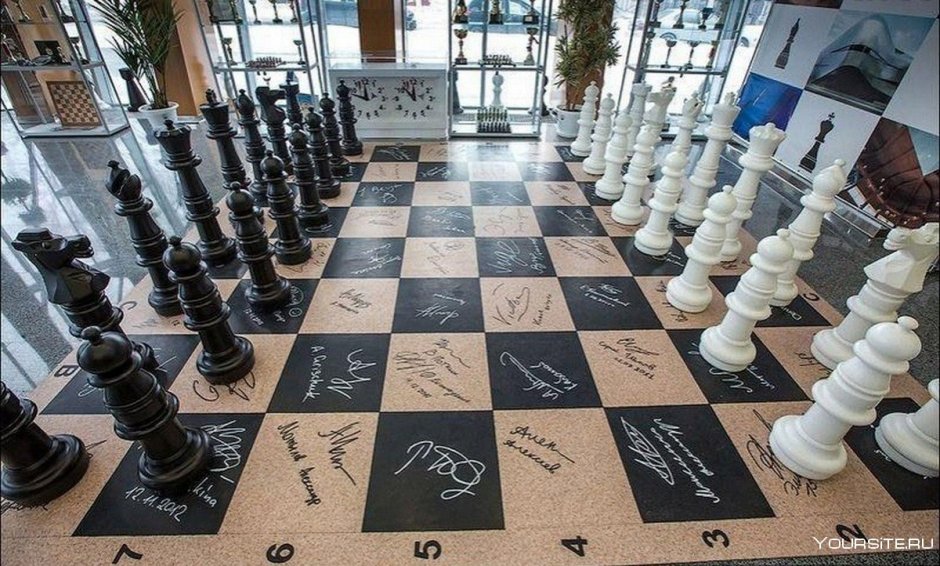 Шахматная Академия Ханты-Мансийск