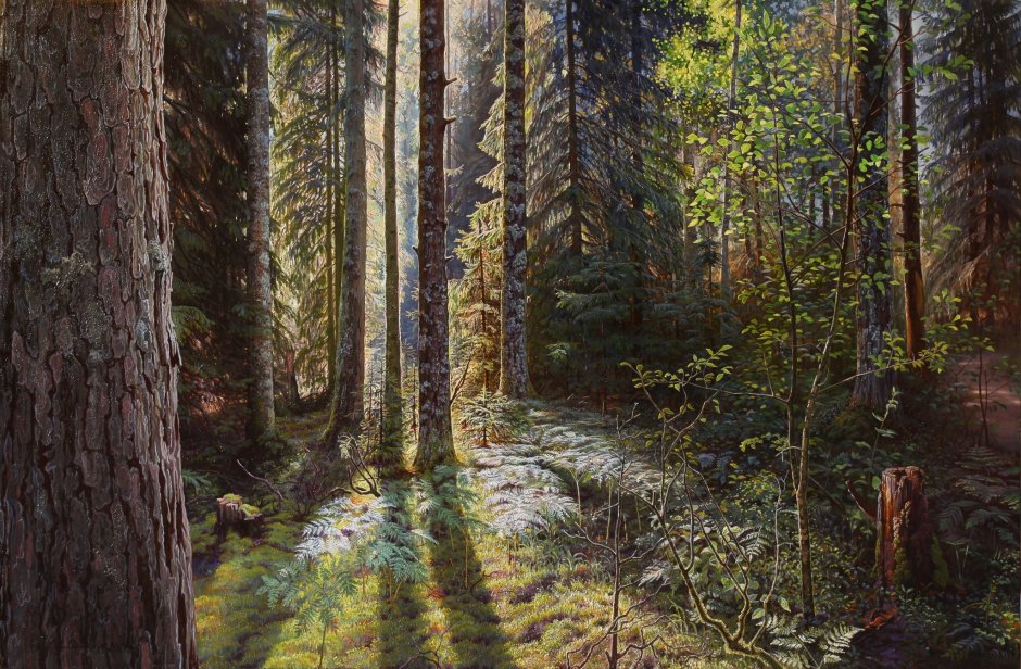 Утро в Сосновом лесу Шишкин Третьяковская галерея