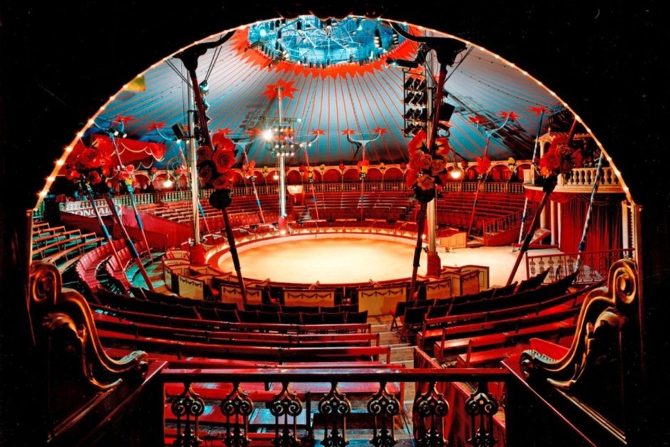 Цирковая Арена арт