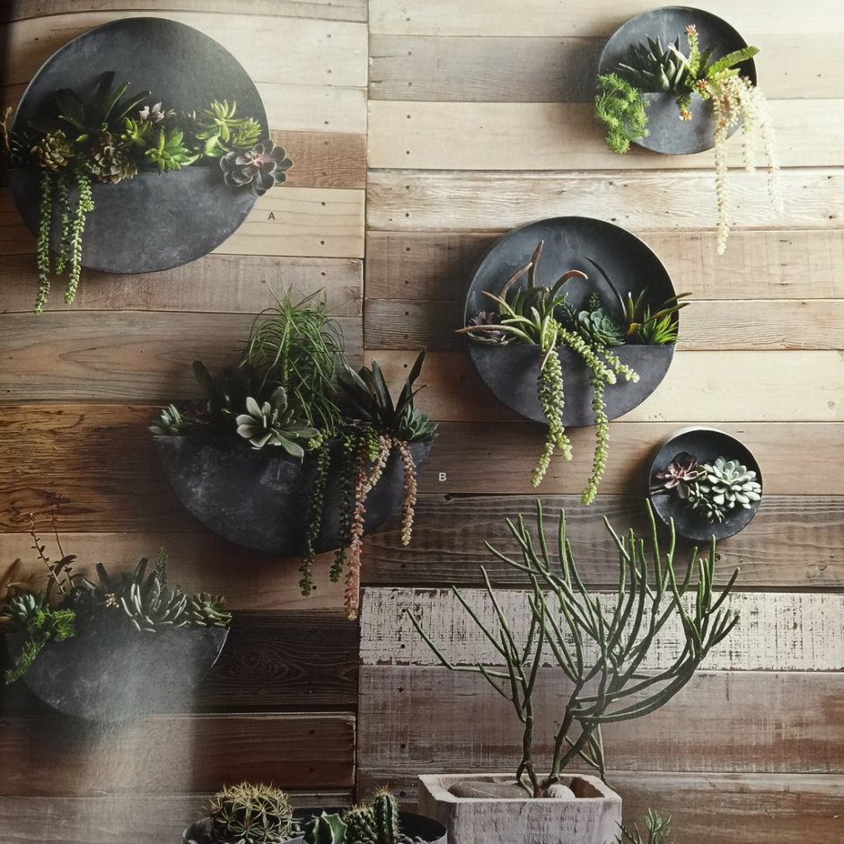Planters Cardboard