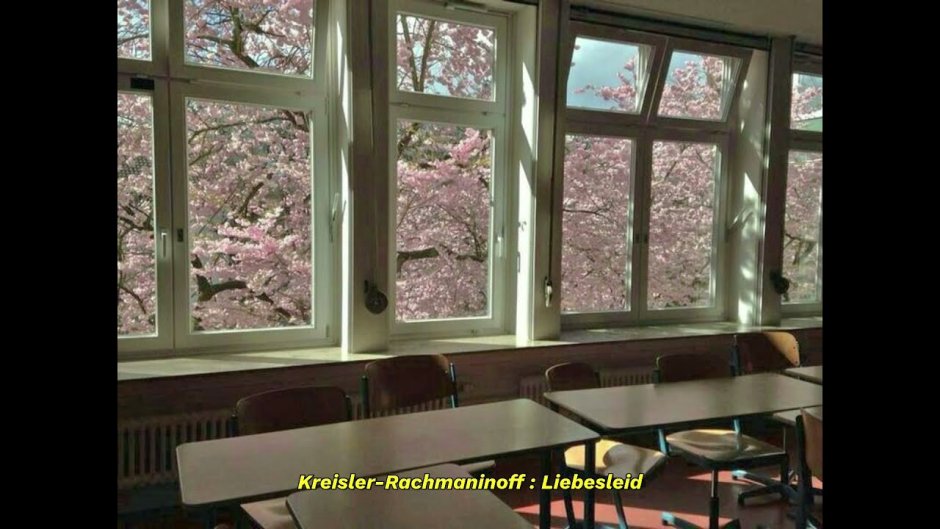 Вид из окна японской школы