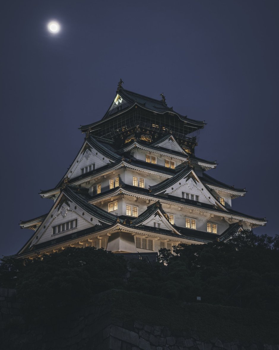 Япония замок Химэдзи с сакурой