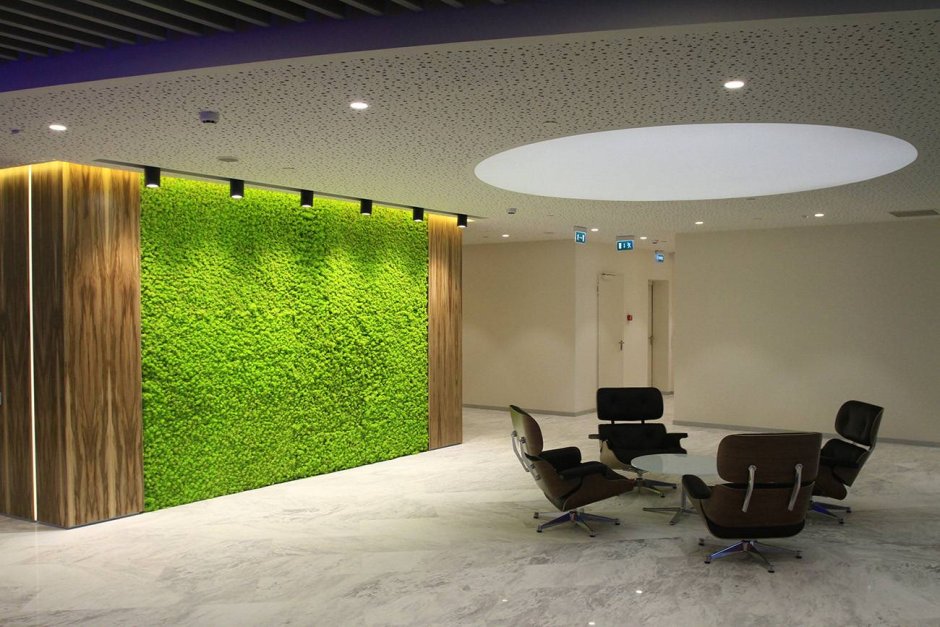 Стена из зелени в офисе