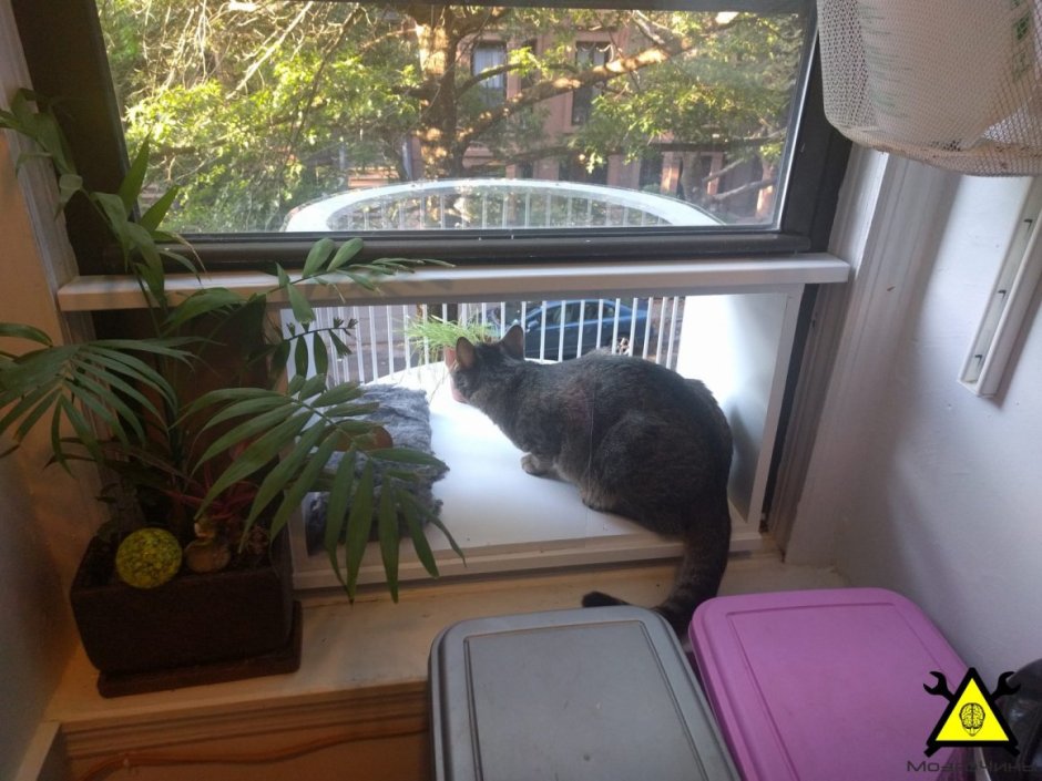 Место для кошки на балконе