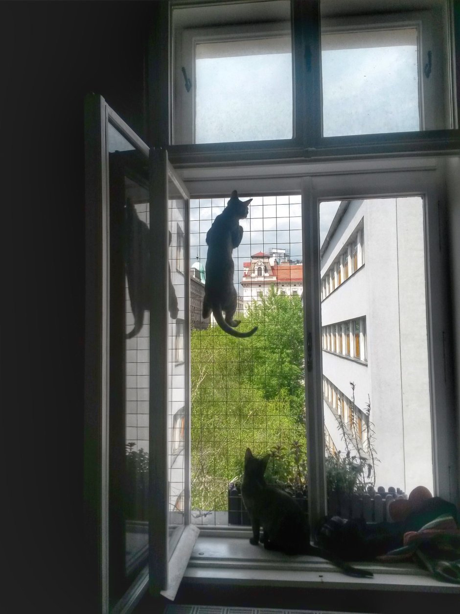 Домик в окне для кота
