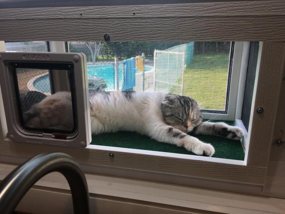 Домик для кошки на окно