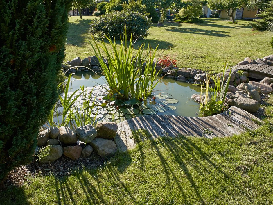 Ландшафтный дизайн пруд в саду
