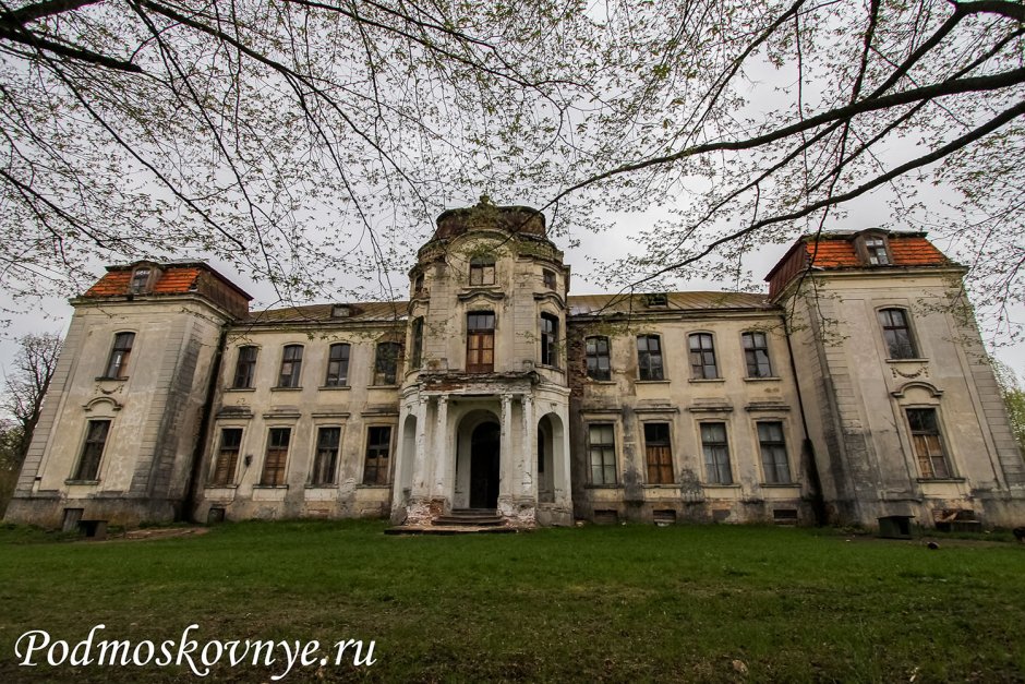 Поместье Сальваторе лестница