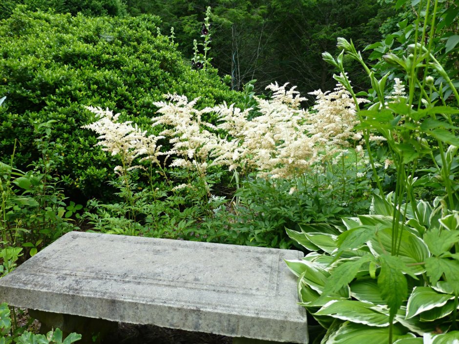 Xeriscape Gardens