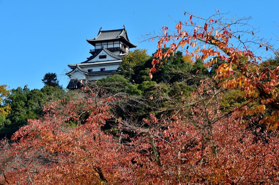 Замок Инуяма зимний 1080