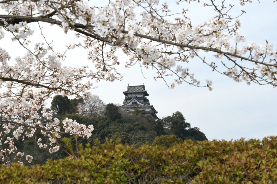 Замок Гифу в Японии