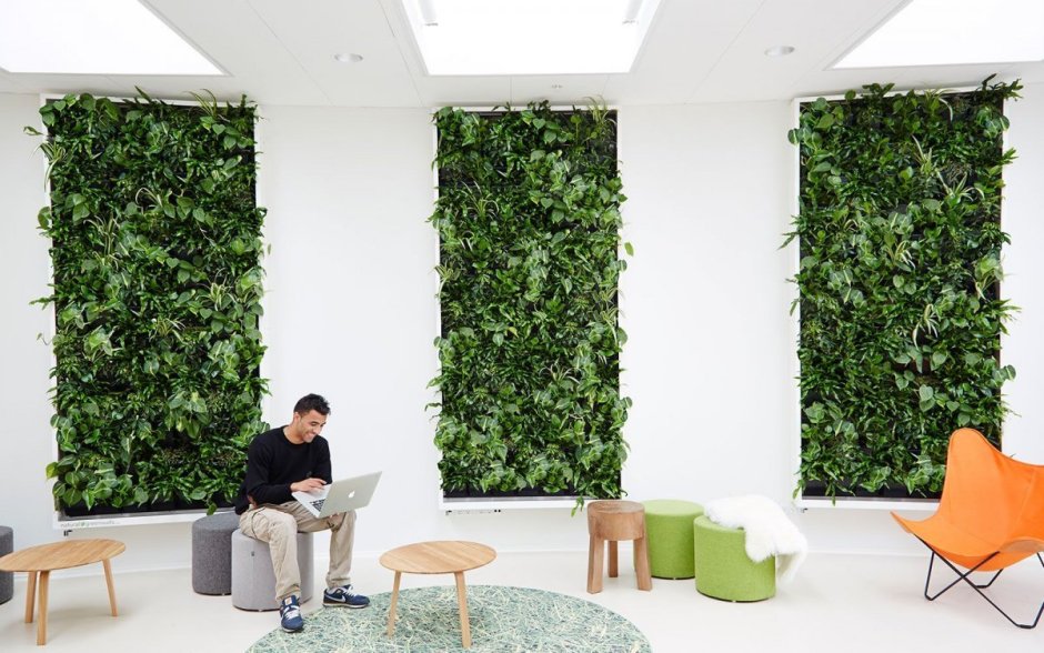 Живые зеленые стены natural Greenwalls