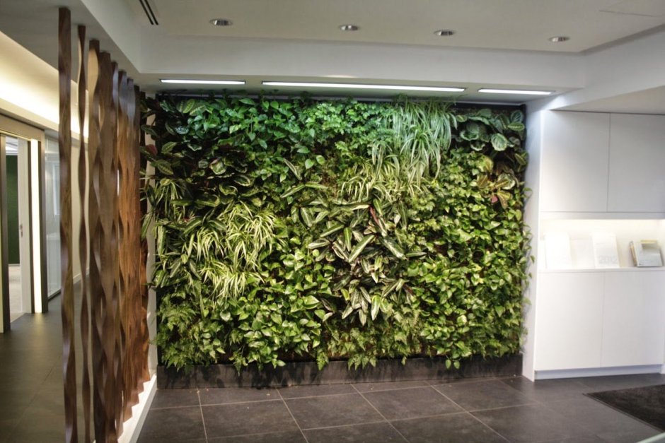 Панно из искусственных растений на стену