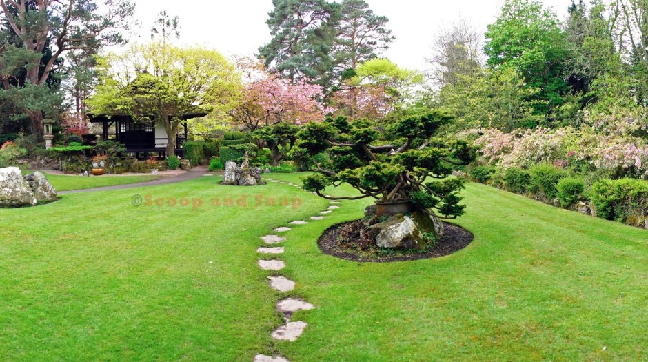 Японский сад хиранива