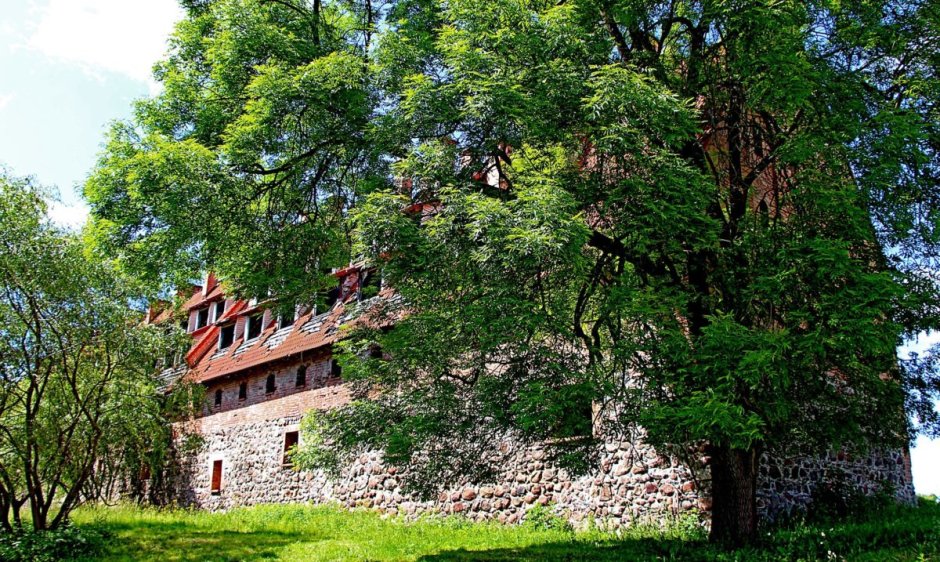 Багратионовск Форбург замка