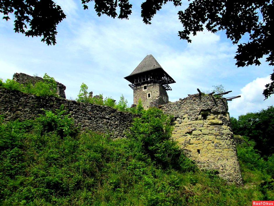 Невицкий замок Закарпатская область