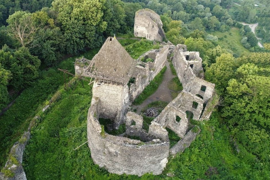 Невицкий замок Закарпатье фото