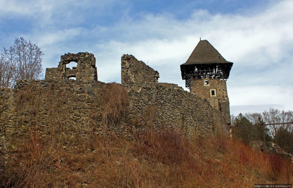 Невицкий замок Карпаты