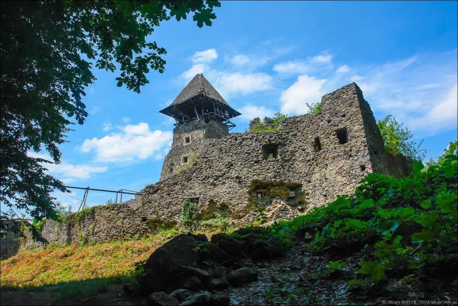 Невицкий замок Карпаты