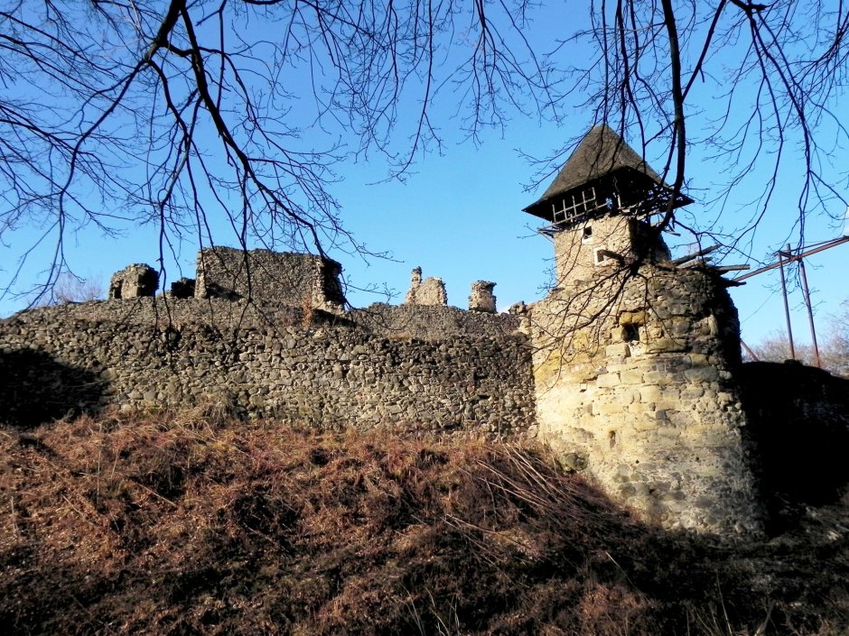 Невицкий замок реконструкции