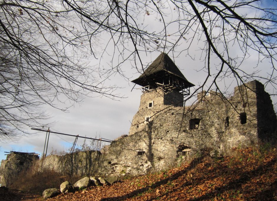 Невицкий замок Закарпатье