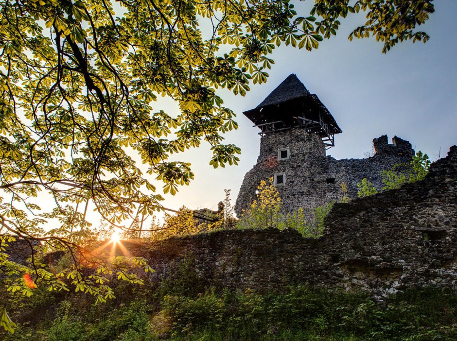 Невицкий замок в годы войны
