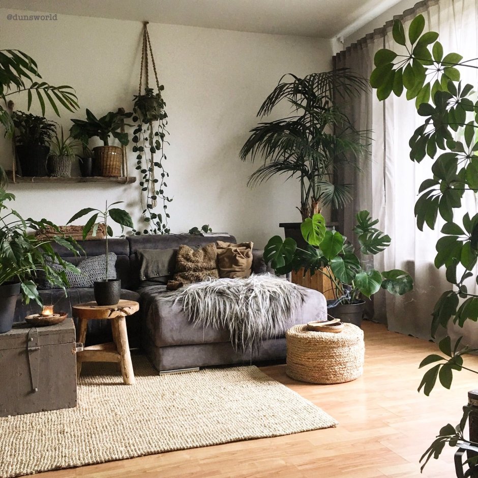 Green Sun фитостены