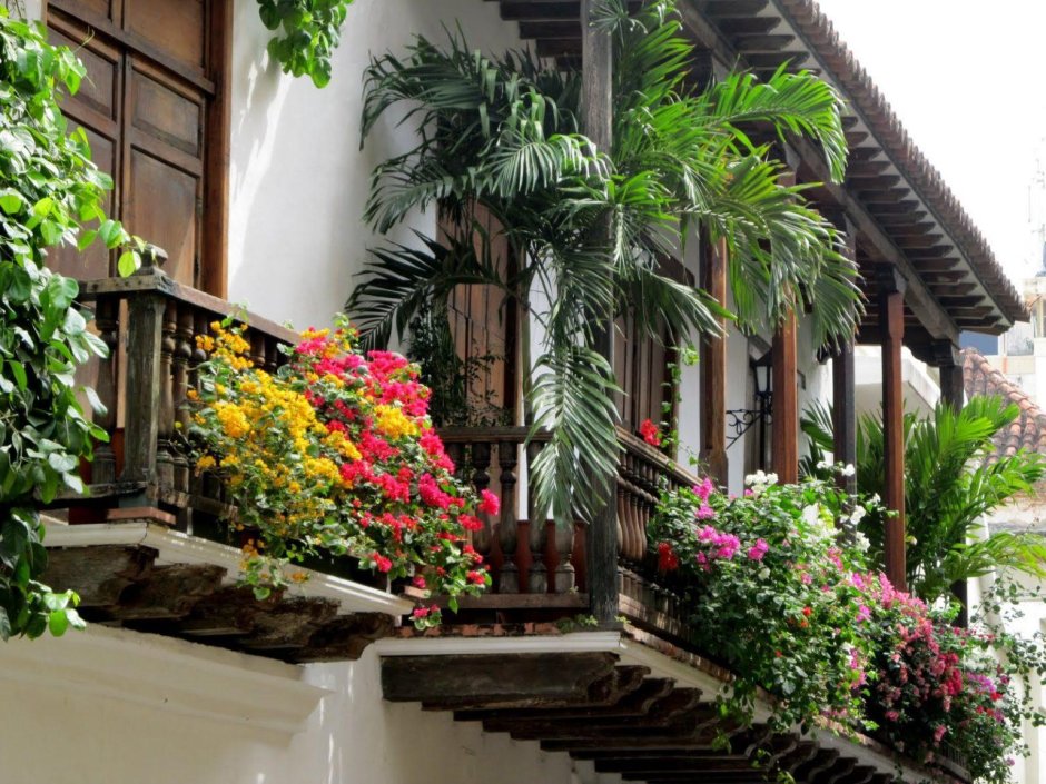 Уютный балкон с цветами