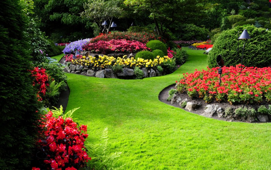 Гарден сад Garden Sad