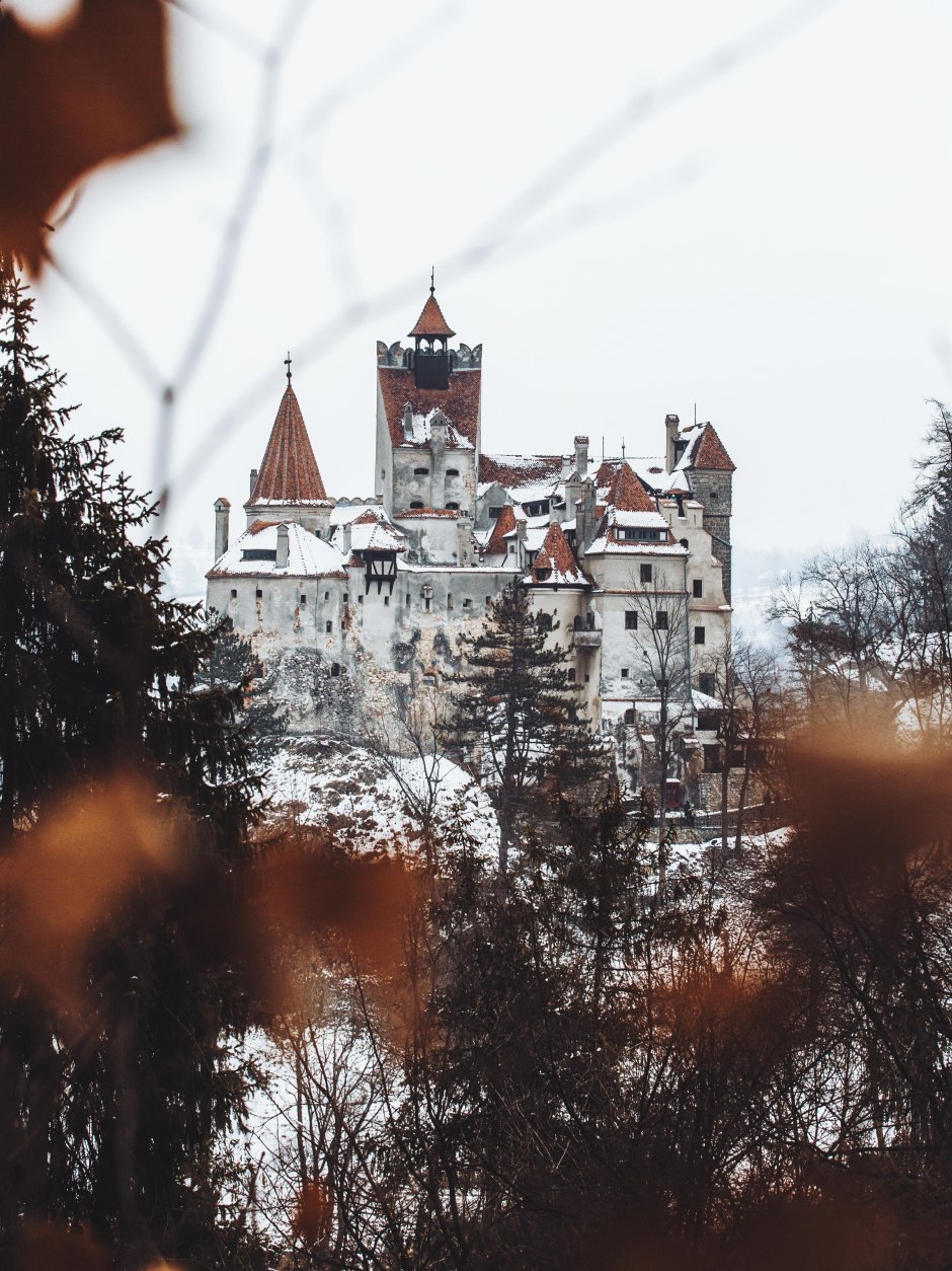 Трансильвания арт замок