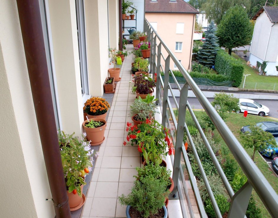 Горизонтальное Озеленение балкона