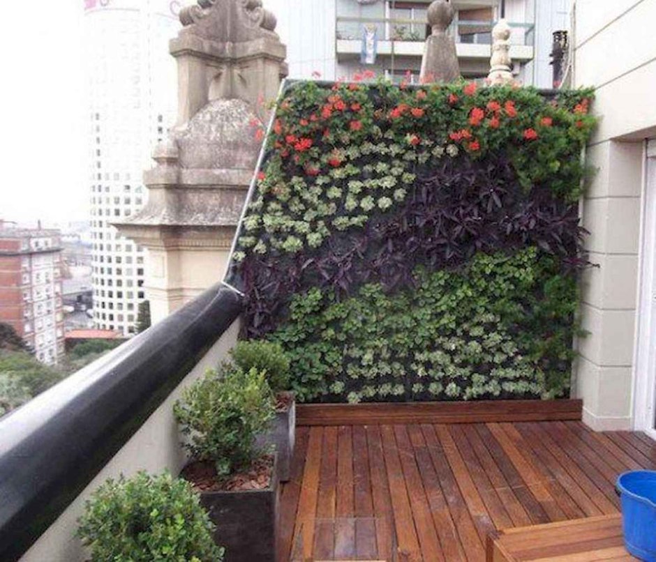 Огород на открытом балконе
