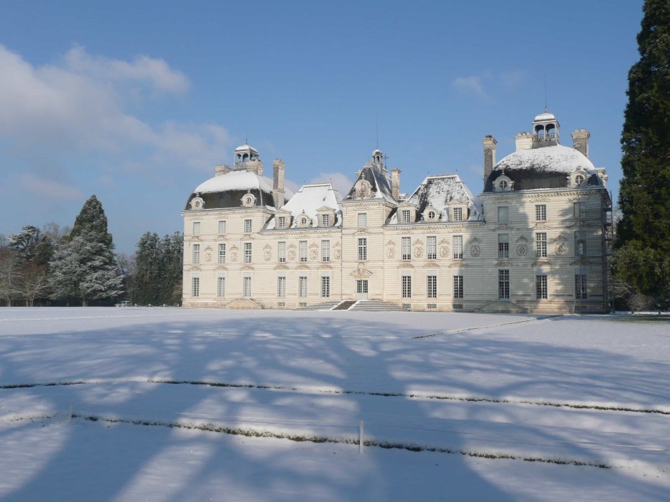 Chateau de Cheverny роза