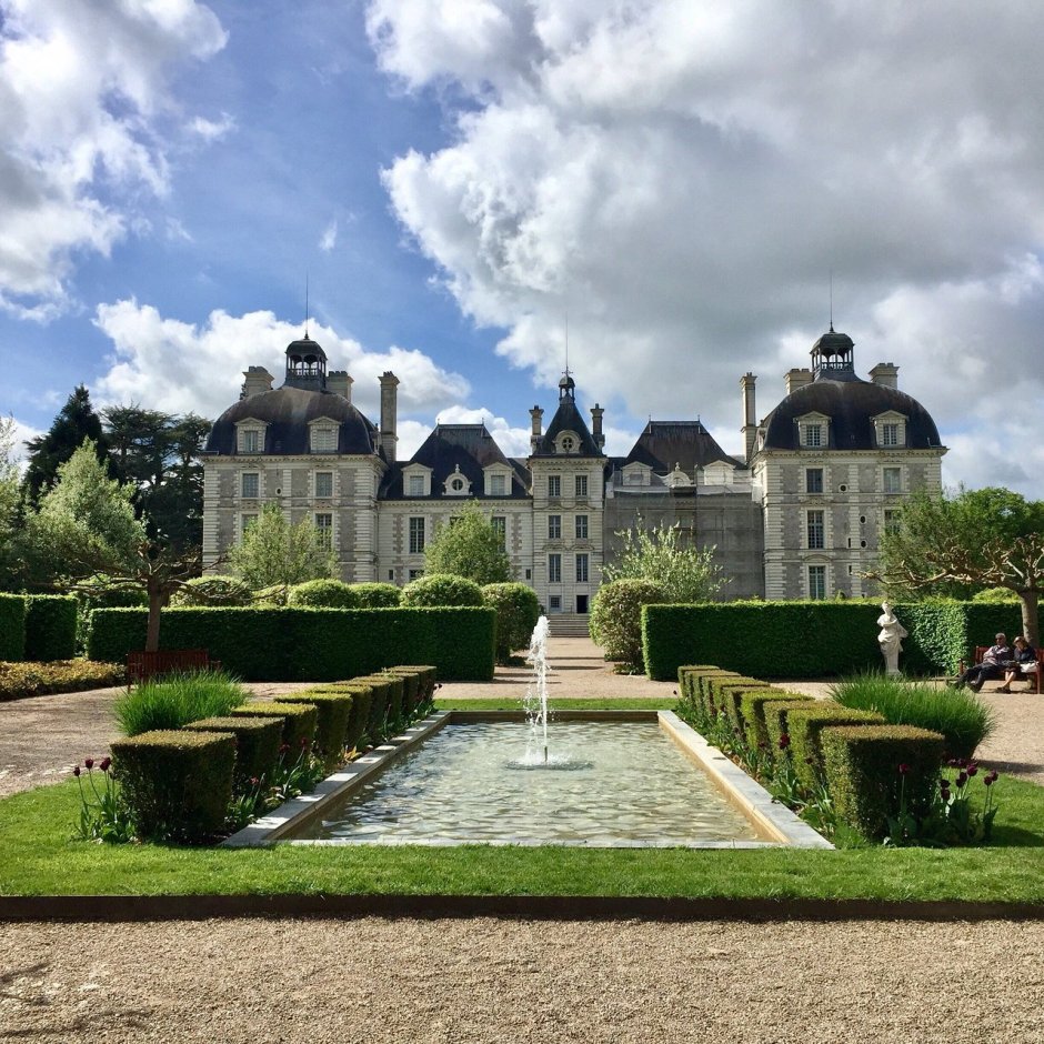 Chateau de Cheverny роза