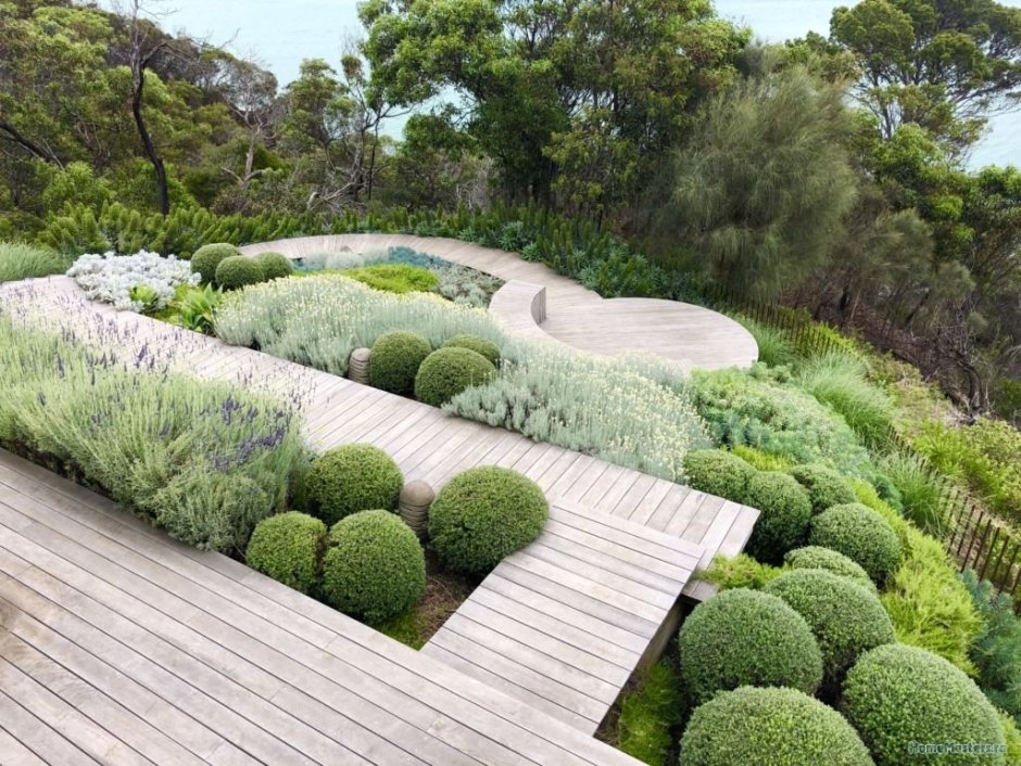 Современный сад в ландшафтном дизайне