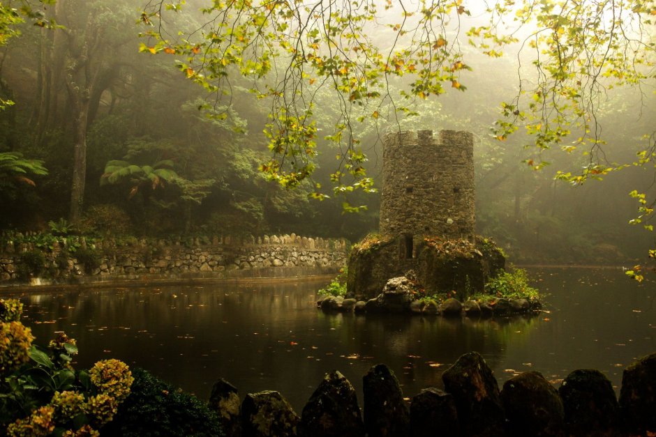 Замок в дремучем лесу