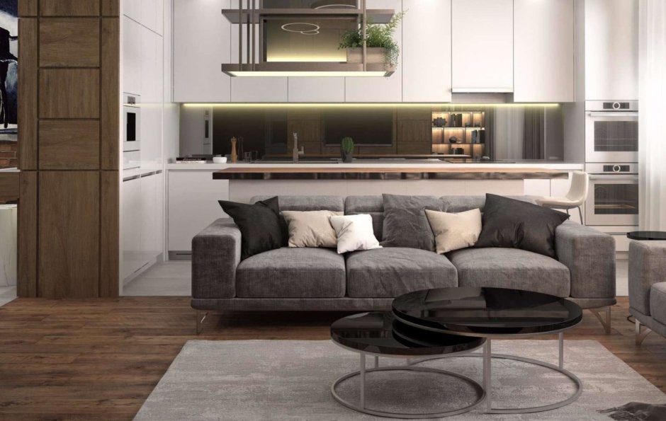 Интерьер студия кухня гостиная 30м2